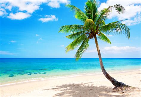 Tropical Beach Wallpapers, Pictures, Images
