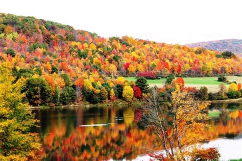 Allegany State Park NY - Fall - - Photorator