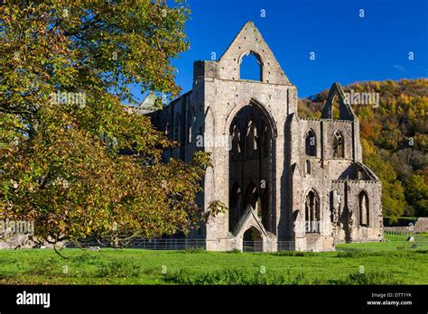 Tintern Abbey Wye Valley Monmouthshire Wales U.K Stock Photo - Alamy