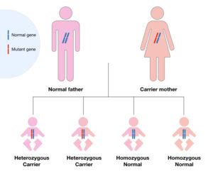 How Is Cystic Fibrosis Inherited?