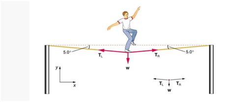 newtonian mechanics - Tension in a wire - Physics Stack Exchange