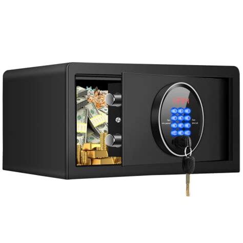 The 10 Best Fireproof Lock Box Review For 2024