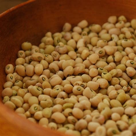 Heirloom Cowpea/ Southern Pea Seeds – Thresh Seed Co.