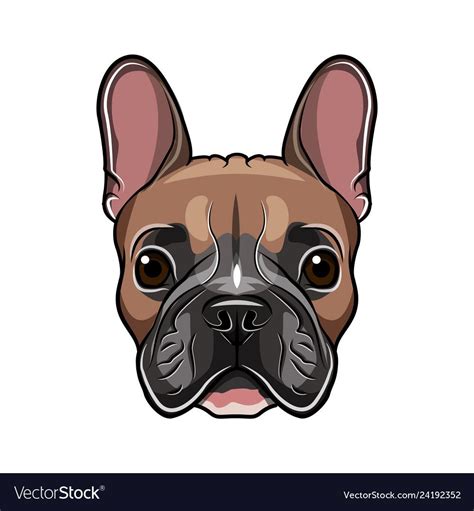French bulldog head isolated on white background. Vector illustration ...