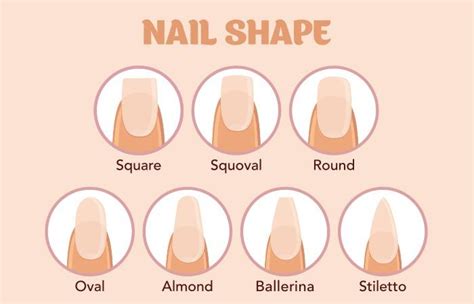 Types of nail shapes - workerFlex