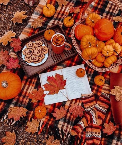 Autumn Magic, Autumn Cozy, Halloween Themes, Fall Halloween, Fall Pies Recipes, Seasonal Decor ...