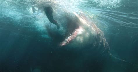 The Meg was REAL: Science behind the 18-metre shark that inspired Hollywood's latest horror film ...
