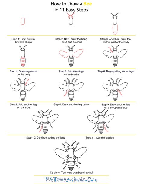 How To Draw A Bee