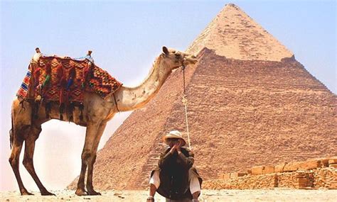 Training for Pyramids vendors, camel owners kicks off Sunday - EgyptToday