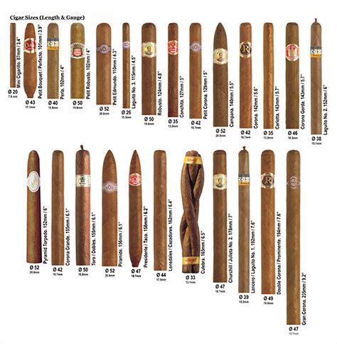 Best Cuban Cigars: What You Need to Know