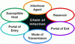 Chain of Infection | Concepts of Physical Medicine