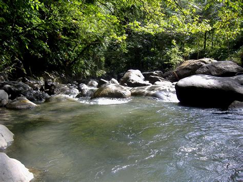 Dominica Victoria Waterfalls Hiking