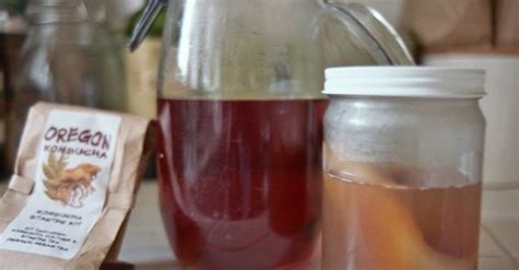 Kombucha Ingredients « Inhabitat – Green Design, Innovation ...