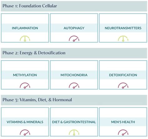 NBX Wellness Client Nutrigenomics Testing Guide