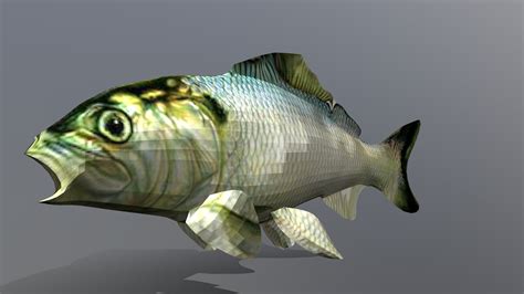 Low Poly - Fish - Download Free 3D model by Mello3D [7fec374] - Sketchfab