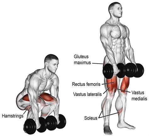 What Muscles Do Russian Deadlifts Work - Photos Idea