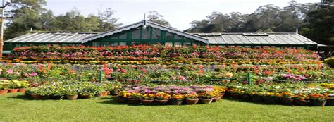 Government Botanical Gardens - Ooty (2020 - Entrance Fee, Timing, Parking Place)