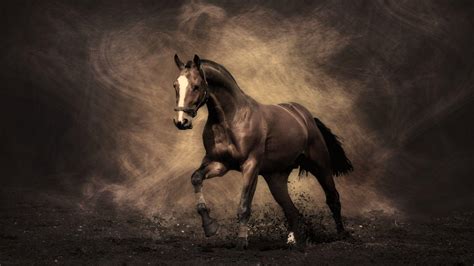 Horse PC Wallpapers - Top Free Horse PC Backgrounds - WallpaperAccess