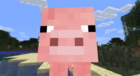 2560x1392px Minecraft Pig Wallpaper - WallpaperSafari