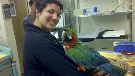 Exotic Animal Veterinarian Near Me / Exotic Animals 101 The Inside Scoop From An Exotic Animal ...