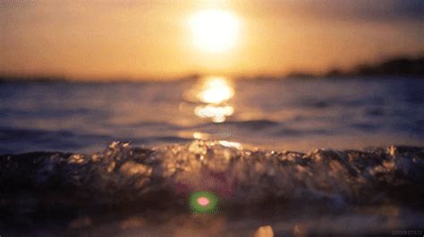 Sunset GIFs - Find & Share on GIPHY