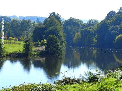 Wonderful walks at Winkworth Arboretum, Surrey