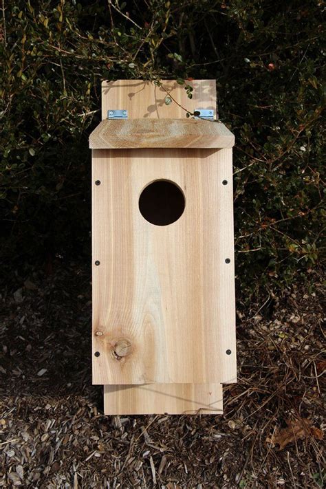 Screech Owl Box Placement | Haus Design Ideen