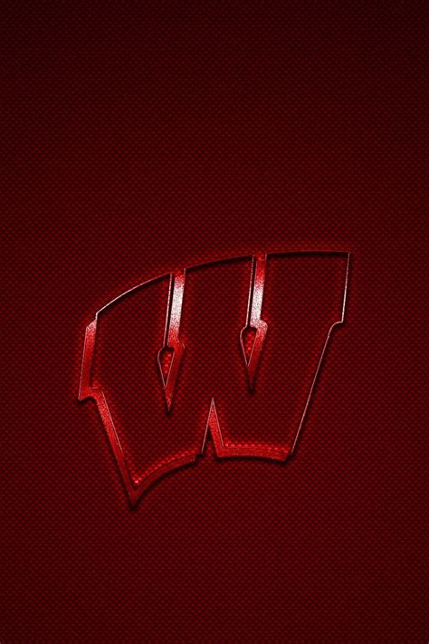 [100+] Wisconsin Badgers Wallpapers | Wallpapers.com