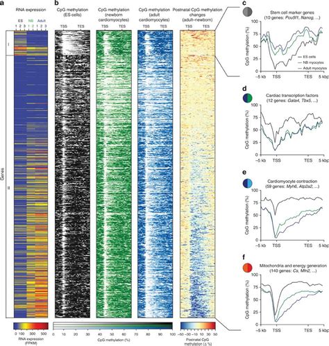 Bioinformatics Group Freiburg - Freiburg Galaxy Project