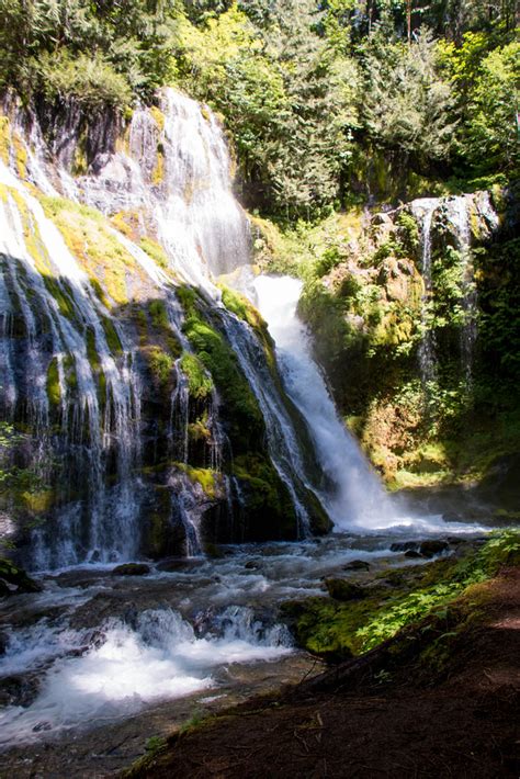 Two waterfalls of Gifford Pinchot National Forest – MilaDidIt