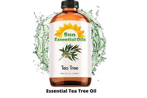 8 Best Tea Tree Oil for Cold Sores in USA 2023