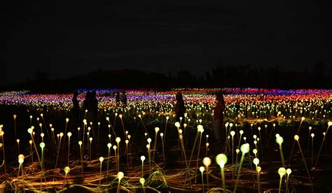 Everything You Need To Know About Uluru's Field of Light