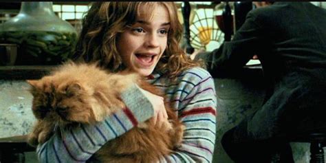 Hermione's Cat Crookshanks Was the Real Hero of 'Harry Potter' | Inverse