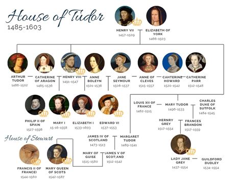 The Tudor Family Tree Diagram | Quizlet