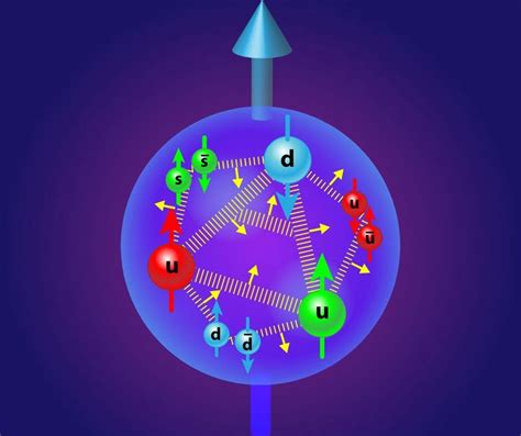 Why does the proton spin? Physics holds a surprising answer