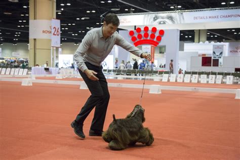 Photos from AKC National Championship Dog Show | AKC National ...