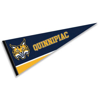 Quinnipiac University Logo Pennant - State Street Products