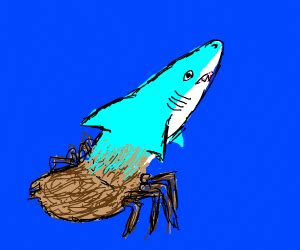 Shark/Spider Hybrid - Drawception