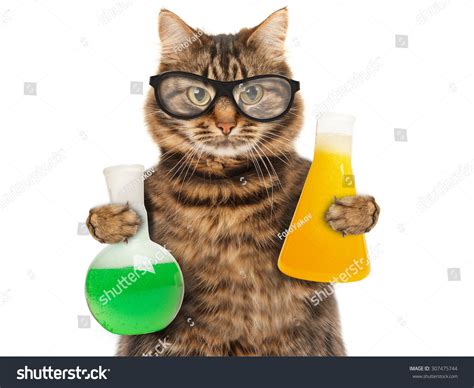 Cat Chemistry: Over 311 Royalty-Free Licensable Stock Photos | Shutterstock