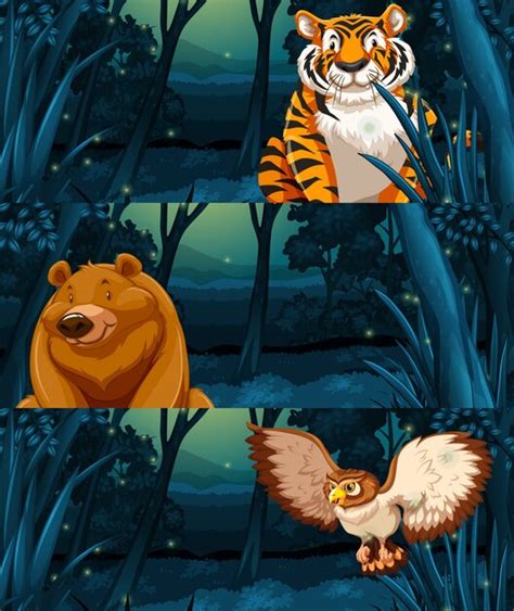 Premium Vector | Wild animals in the woods at night