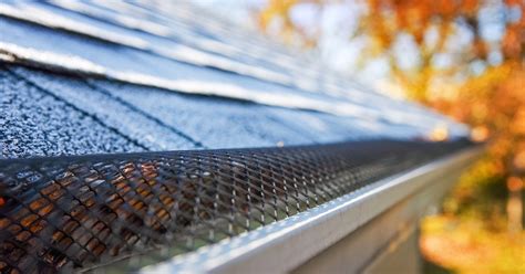 Here's What to Look for in the Best Gutter Protectors