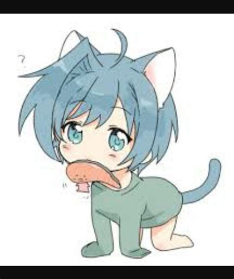 Baby neko | Anime Amino