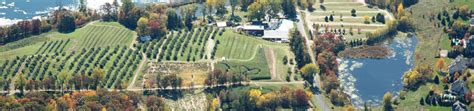 Home | Pine Tree Apple Orchard | Minnesota grown apple and strawberries