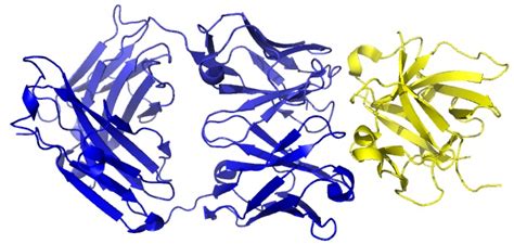 New Breakthrough Drug Canakinumab Slashes Heart Attack and Cancer in Clinical Trial » LongevityFacts