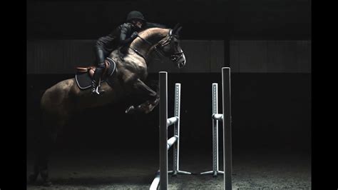 Black Show Jumping Horses