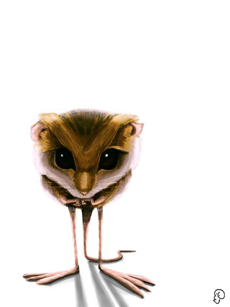 Pygmy Jerboa by salgado640 on DeviantArt