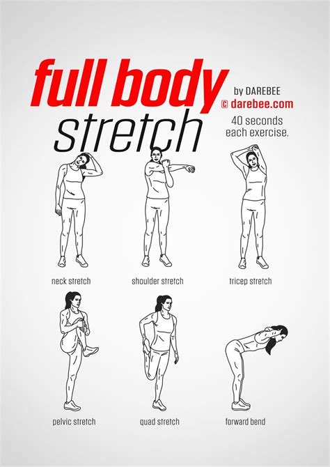 Full Body Exercise Routine At Home | Stretches before workout, Office ...