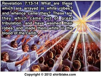 Among the great multitude {Revelation 7} - Women in the Word