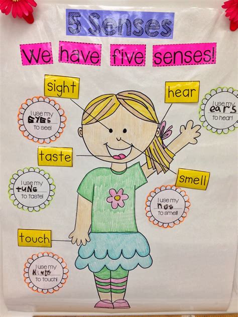 Kindergarten Smiles: Five Senses