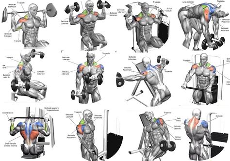 antwanhyerez@gmail.com: Shoulder Workout Routines - 5 Tips For a Safe and Effective Shoulder Workout